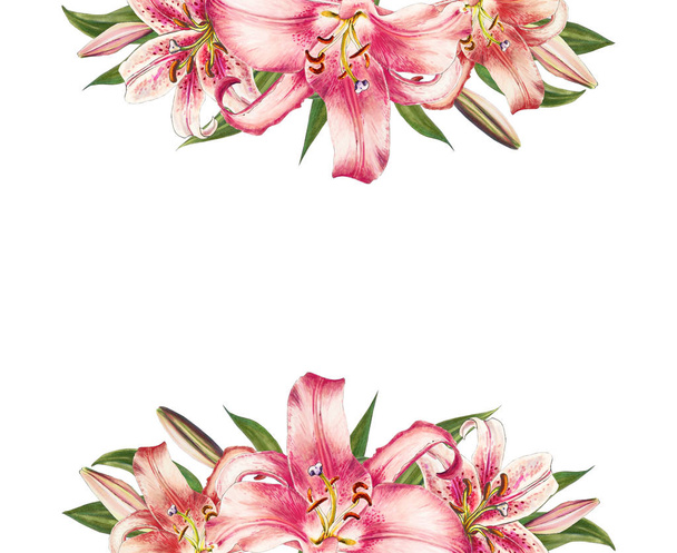 pink lilies illustration on white background - Fotografie, Obrázek