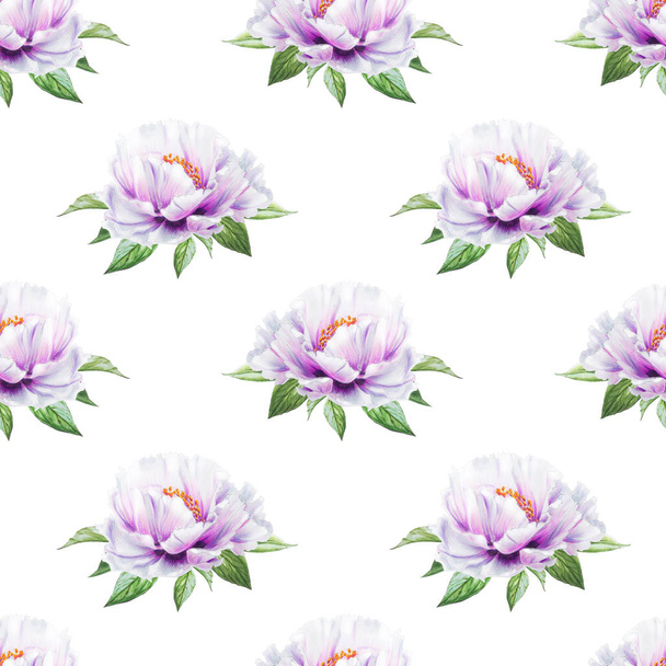 white peony flowers seamless background illustration - Фото, изображение