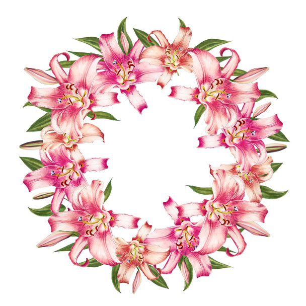marco de lirios rosados sobre fondo blanco
 - Foto, Imagen