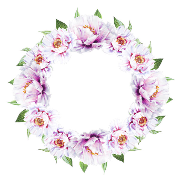 marco de flores de peonía blanca sobre fondo blanco
 - Foto, imagen