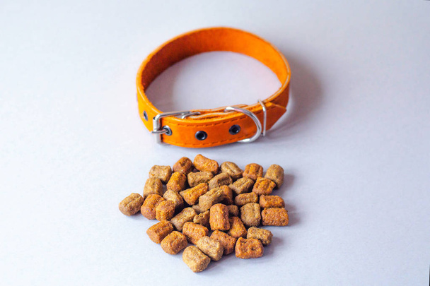 Pet collar and slide feed on a gray background. - Photo, Image