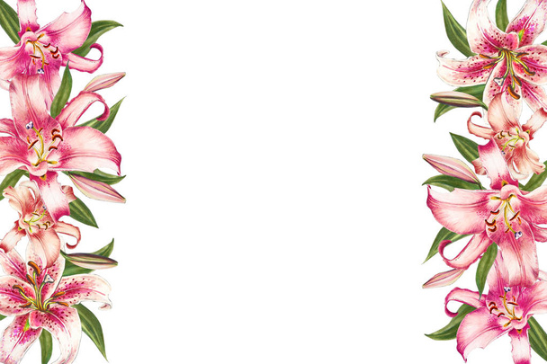 pink lilies frame on white background - Φωτογραφία, εικόνα