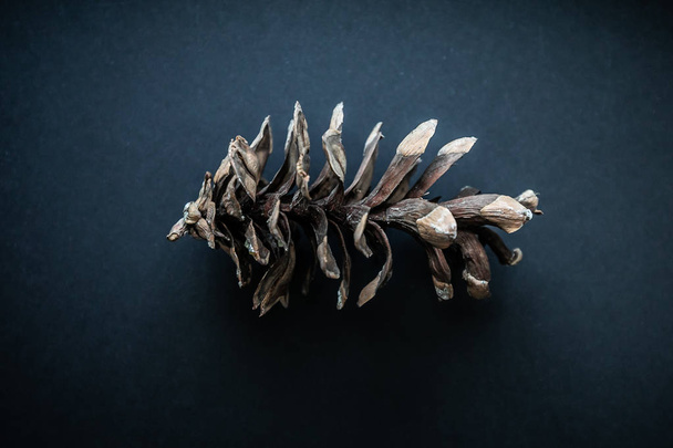 Top View Of Crooked Pine Cone On A Dark Background - Photo, image