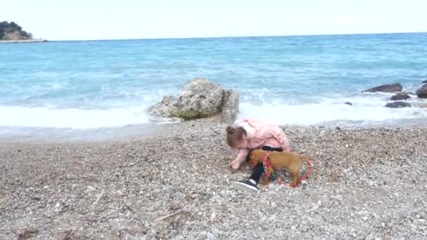 Küçük kız tasması onu köpek yavrusu yürüyüş - Video, Çekim