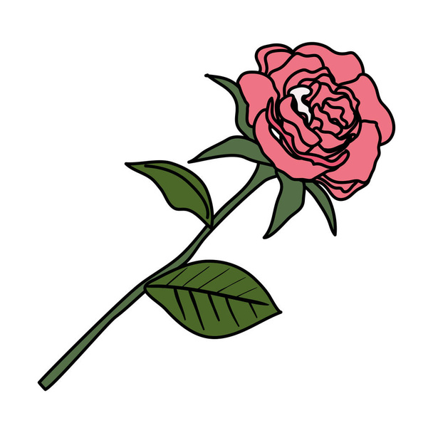 rosa con icono de hojas
 - Vector, Imagen
