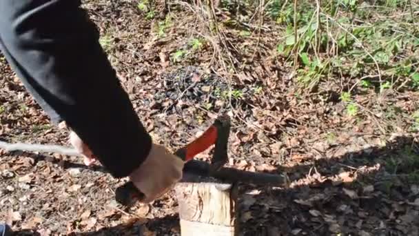 Close-up man's hands cut wooden stick with an ax on the hive in forest. Cutting edge. Falling autumn leaves in background. - Footage, Video