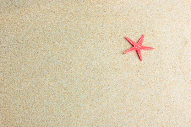 Starfish on the sand - Fotoğraf, Görsel