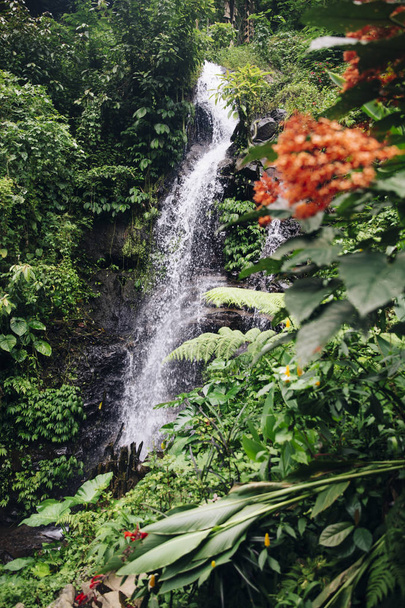 Gitgit waterfall at Bali, Indonesia - Photo, Image