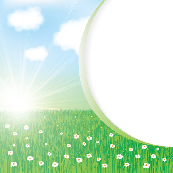 Sunny summer background with sunlight and flowers - Vector, Image