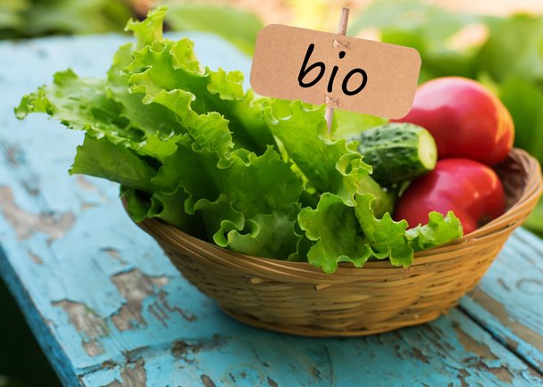 Fresh organic salad, tomato, cucumber in bucket - Foto, imagen