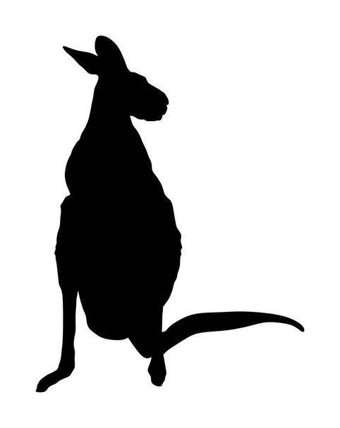 Klokanní vektorová silueta je izolovaná na bílém pozadí. Australského zvířecího portrétu. Turistická značka suvenýr. Nejlepší skokan na živočichy. Přitažlivost Zoo. - Vektor, obrázek