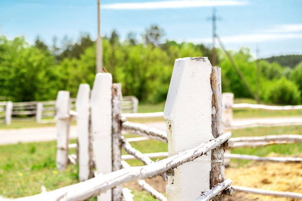 Eski beyaz boyalı zikzak ahşap çit çiftlik veya at çiftliğinde yeşil orman ve arka planda mavi gökyüzü ile. Kırsal kırsal peyzaj - Fotoğraf, Görsel
