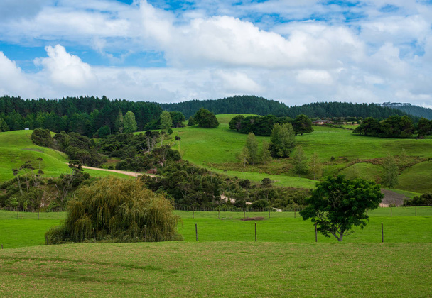 New Zealand Landscape - Foto, Bild