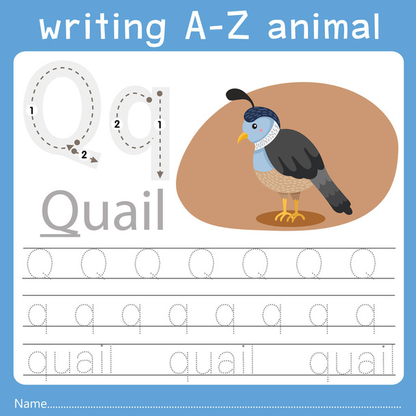 Ilustrador de escrever a-z animal q
 - Vetor, Imagem