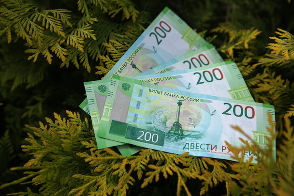 Τραπεζογραμμάτια 200 Ρωσικά ρούβλια. Μετρητά χαρτί πράσινο χρήματα για τα κλαδιά του χριστουγεννιάτικου δέντρου. - Φωτογραφία, εικόνα