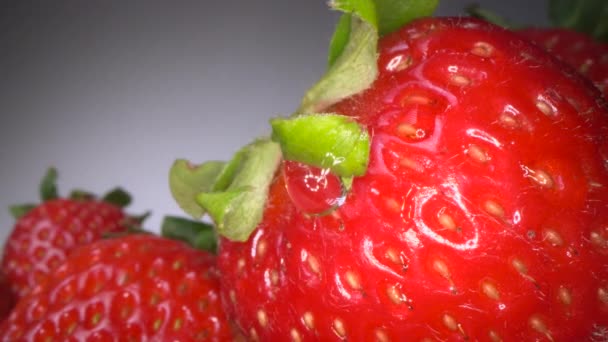 Makro strzał czerwonej soczystej truskawki na ciemnym tle. Słodki, zbierany w tle jagody, zdrowy styl życia żywności - Materiał filmowy, wideo