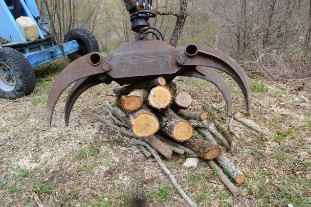 Заготовленные дрова перед транспортировкой
 - Фото, изображение