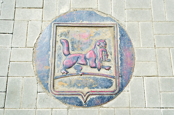 Decorative hatch with the coat of arms of Irkutsk - Фото, зображення