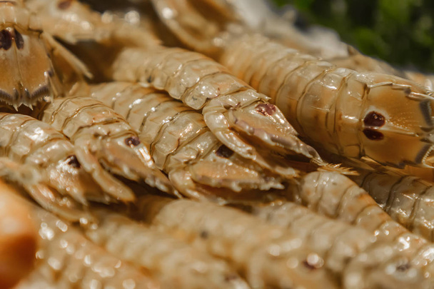 Squilla mantis (gamberetti Mantis) sul mercato del pesce
 - Foto, immagini