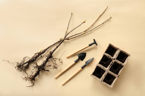 Sadzonki drzew z narzędziami i glebą na kolorowym tle - Zdjęcie, obraz