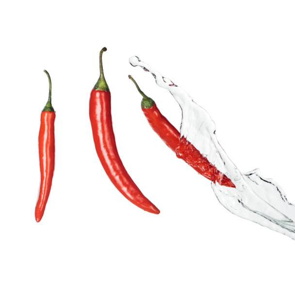 bright spicy red chili peppers with clear water splash isolated on white - Foto, Imagen
