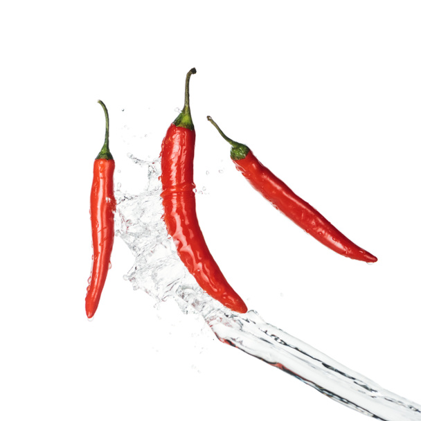 bright spicy red chili peppers with clear water splash isolated on white - Foto, immagini