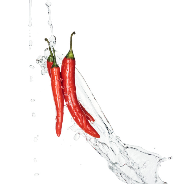 kirkas mausteinen punainen chili paprikat vedellä roiske ja tippaa eristetty valkoinen
 - Valokuva, kuva