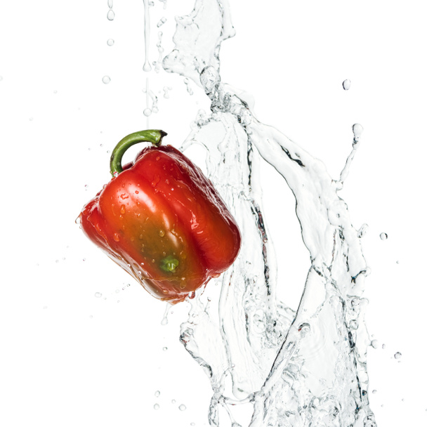 hele lekkere verse rode paprika met water spatten en druppels geïsoleerd op wit - Foto, afbeelding