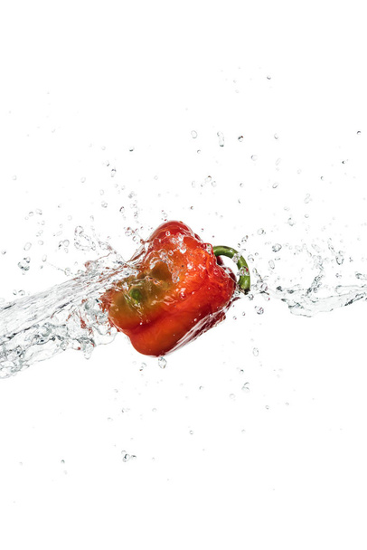 whole tasty fresh red bell pepper with clear water splash and drops isolated on white - Photo, Image