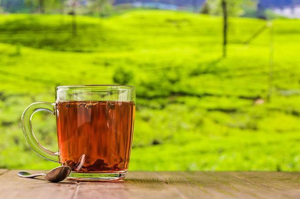Tea in a glass cup - Фото, изображение