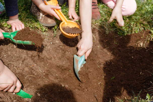 Hands children digging bright plastic shovel a hole in the ground. Little Toddler digging in a boot on shovel - 写真・画像