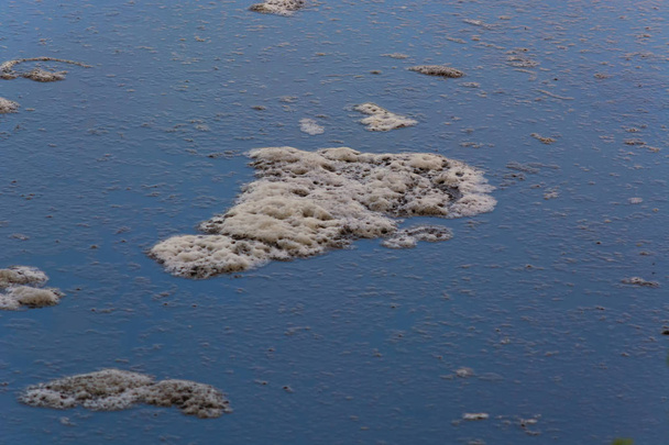 Vervuild door rioolwater in een meer            - Foto, afbeelding