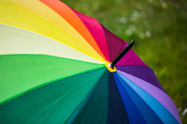 sateenkaaren väriset sateenvarjot, m, w, d, kirjaimet miehille, naisille
, - Valokuva, kuva