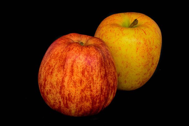 Hieno taide asetelma väri makro muotokuva kaksi eristettyä omenaa punainen ja keltainen musta tausta fantastinen realismi vintage maalaus tyyli, symbolinen pari pari yhdessä yhteinen joukkue tuttu
 - Valokuva, kuva