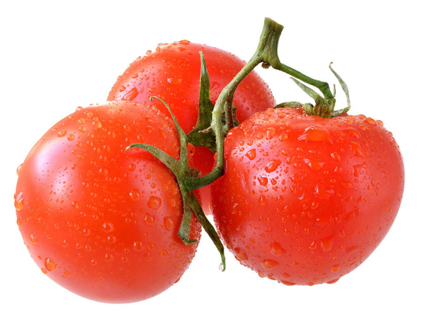 Three tomato on branch isolated - Фото, изображение