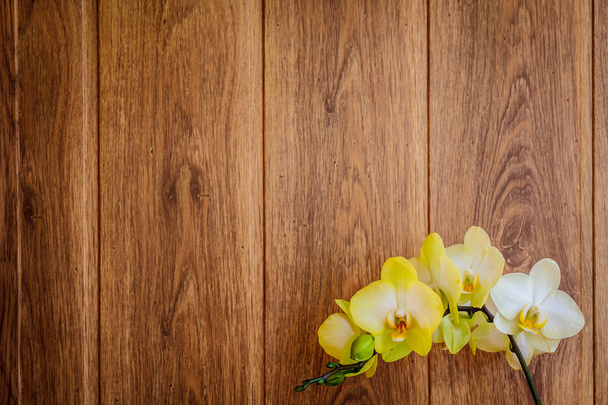 ein Zweig gelber Orchideen auf braunem Holzgrund. Orchidee auf natürlichem braunem Holzhintergrund Draufsicht. Holzstruktur aus nächster Nähe. Kopierraum - Foto, Bild