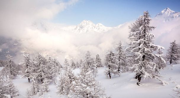 Valmalenco (IT)-Snowy krajobraz z Pizzo Scalino na dole - Zdjęcie, obraz