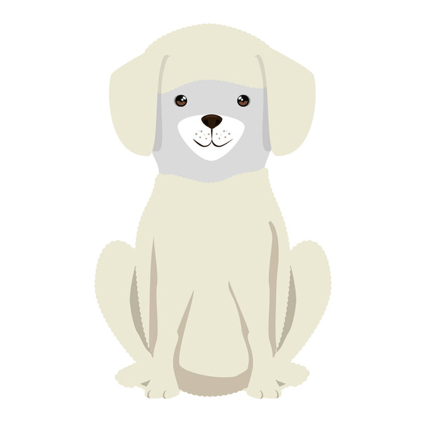 cute dog breed character - Vector, Image