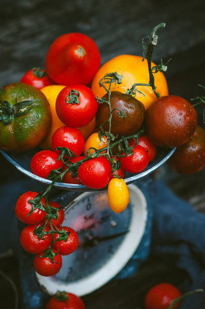 bunte rote und gelbe Tomaten auf alten Schuppen. Vintage dunklen rustikalen Hintergrund. - Foto, Bild