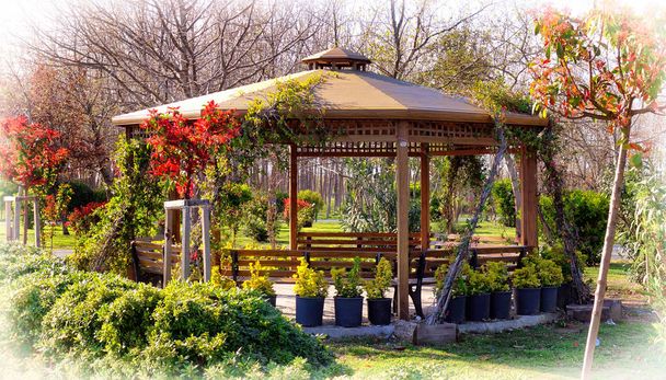 Jardín de primavera con cenador de madera
 - Foto, imagen