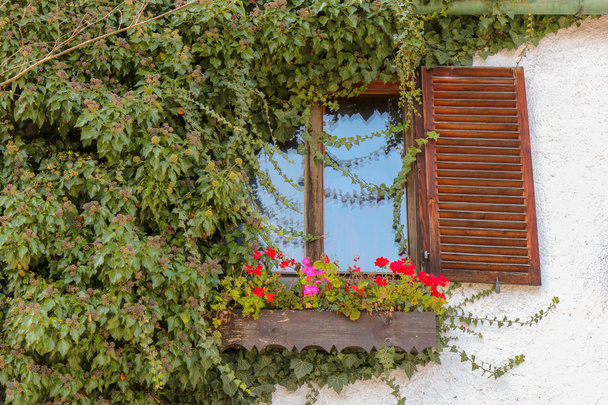 Beautiful window with flower box on top, Switzerland - Fotografie, Obrázek