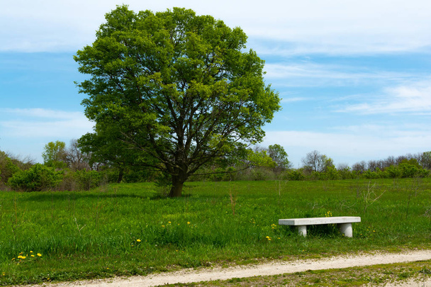 大草原のベンチ - 写真・画像
