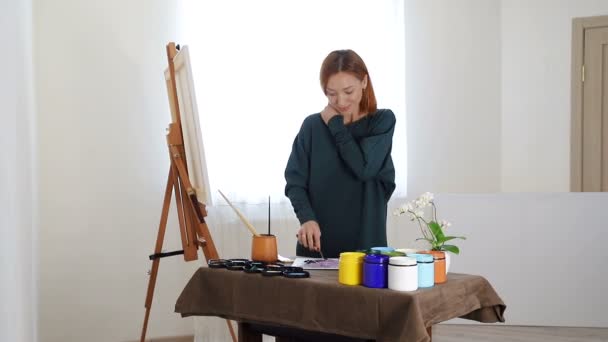 žena umělkyně, připravuje paletu barev pro malování. Jemně mísí barvy a úsměvy - Záběry, video