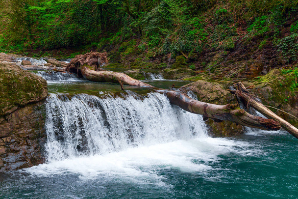 beautiful deep forest waterfall flowing in national park - Zdjęcie, obraz