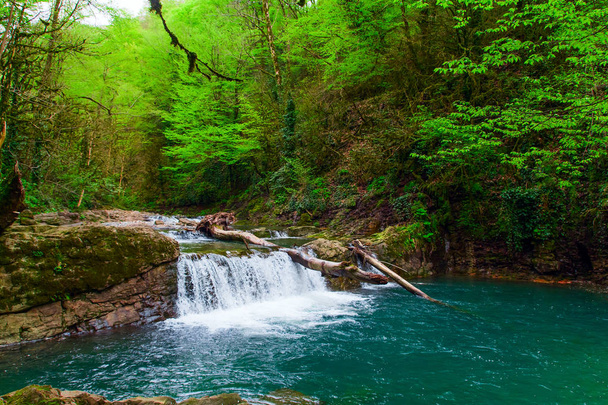 beautiful deep forest waterfall flowing in national park - Foto, Imagen