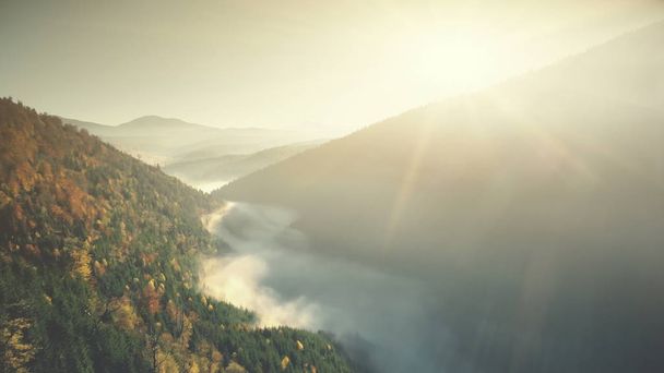 Multicolored highland forest fog slope aerial view - 写真・画像