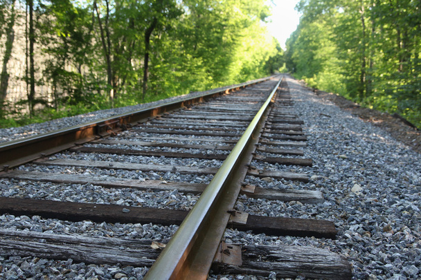 夏の鉄道 - 写真・画像