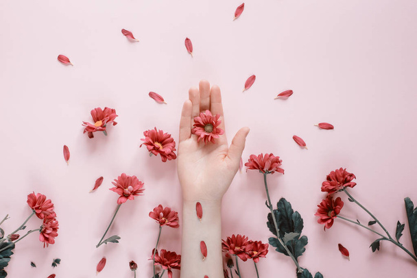 Close-up beautiful female hands with purpure flowers on pink background. Cosmetics for hands anti wrinkle.Top view, copy space - Φωτογραφία, εικόνα