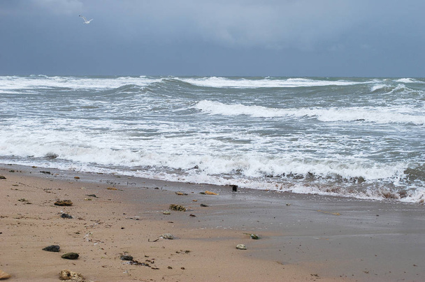 vento à beira-mar
 - Foto, Imagem