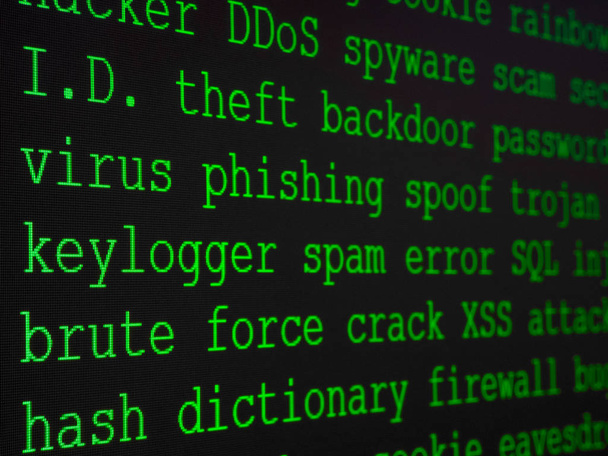 Словник хакера, відображений на екрані комп'ютера - Фото, зображення